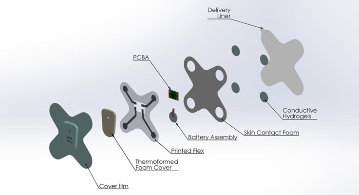 Key-Wearables-Terms-737x400-2 Key-Wearables-Terms